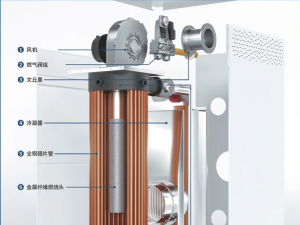 Provincial Party Secretary Liu Ning Visited the Sitong Boiler Innovation Center 